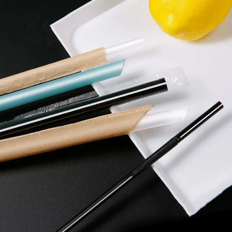 S001 – Disposable Straws - image 4